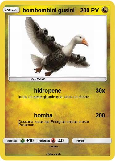 Gusini Card